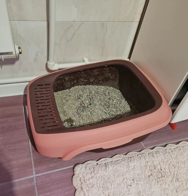 Лоток кошачий Diil 47х37х18 см прямоугольный, розовый Лоток кошачий Diil 47х37х18 см прямоугольный, розовый