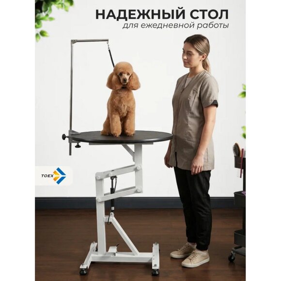 Стол пневматический Toex FT-838 круглый, диаметр 60 см