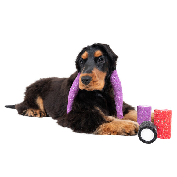 Бинт самофиксирующийся Show Tech 4,5 м x 7,5 см неоново-розовый Бинт самофиксирующийся Show Tech 4,5 м x 7,5 см неоново-розовый