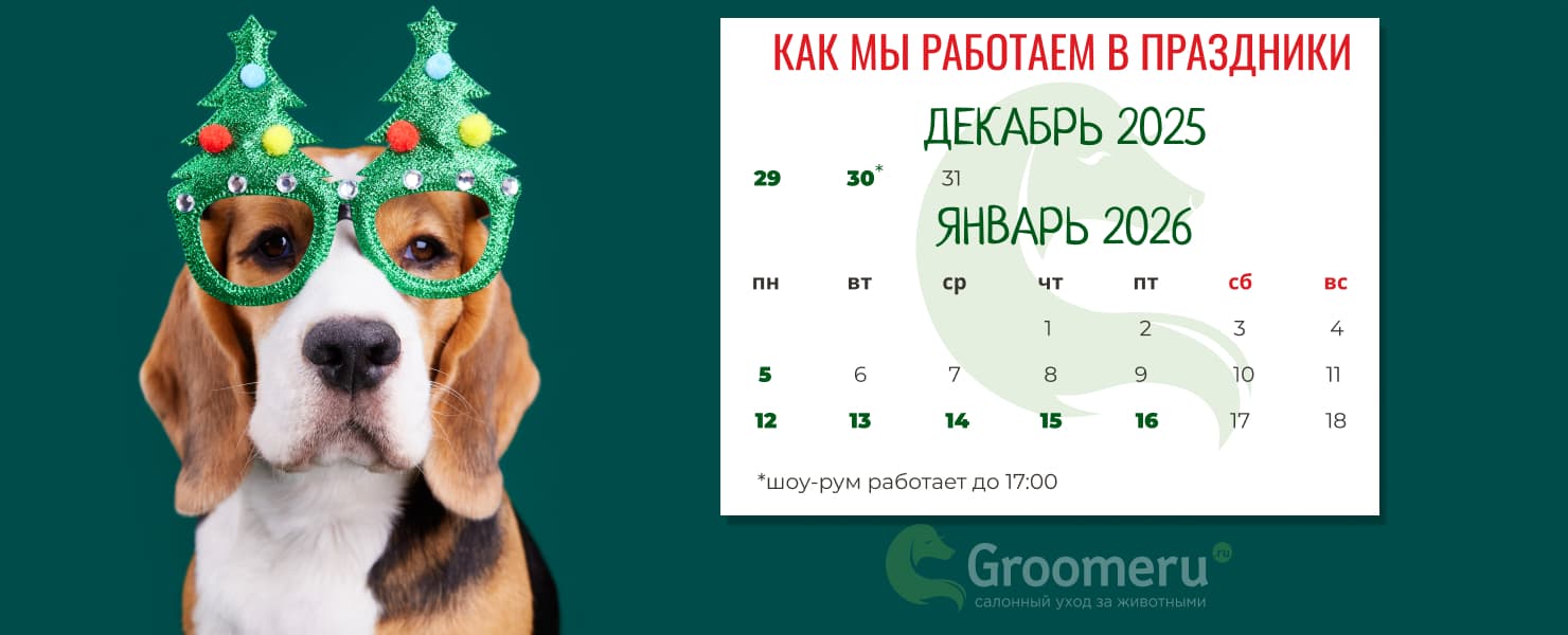 Промо Промо