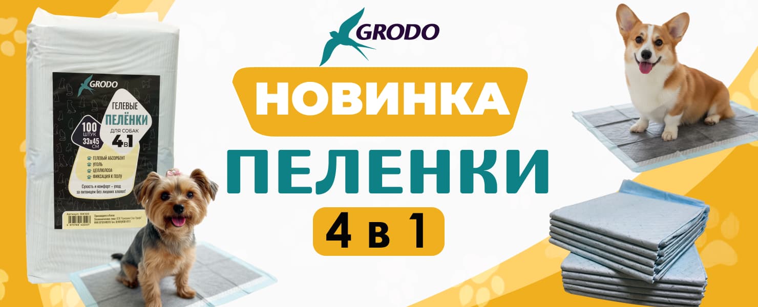 Промо Промо