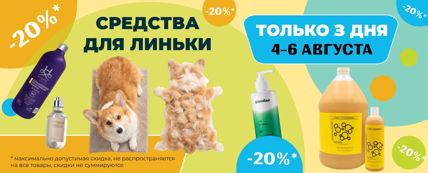 Промо Промо